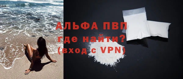 индика Заволжск