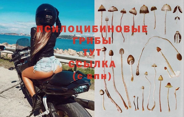 mdpv Заводоуковск