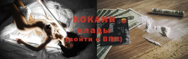 индика Заволжск