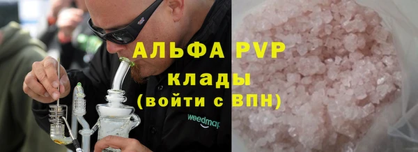 индика Заволжск