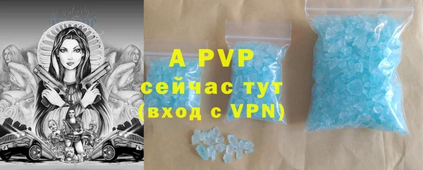 индика Заволжск