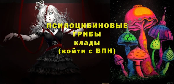 индика Заволжск
